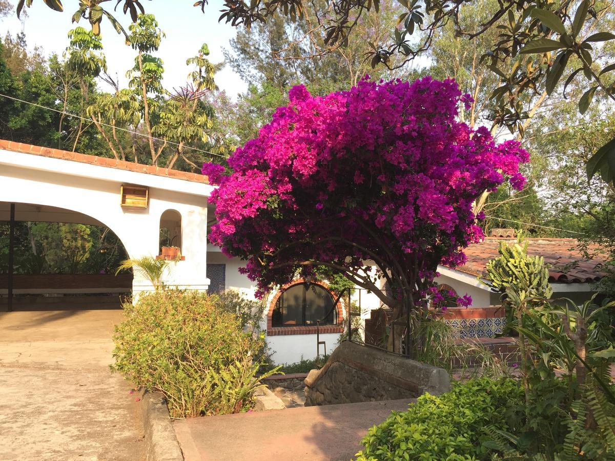 Villas Bellavista Cuernavaca Buitenkant foto