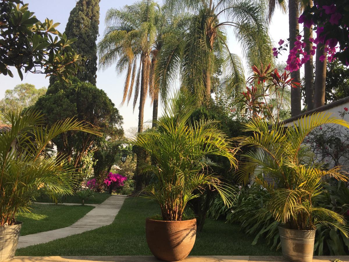 Villas Bellavista Cuernavaca Buitenkant foto