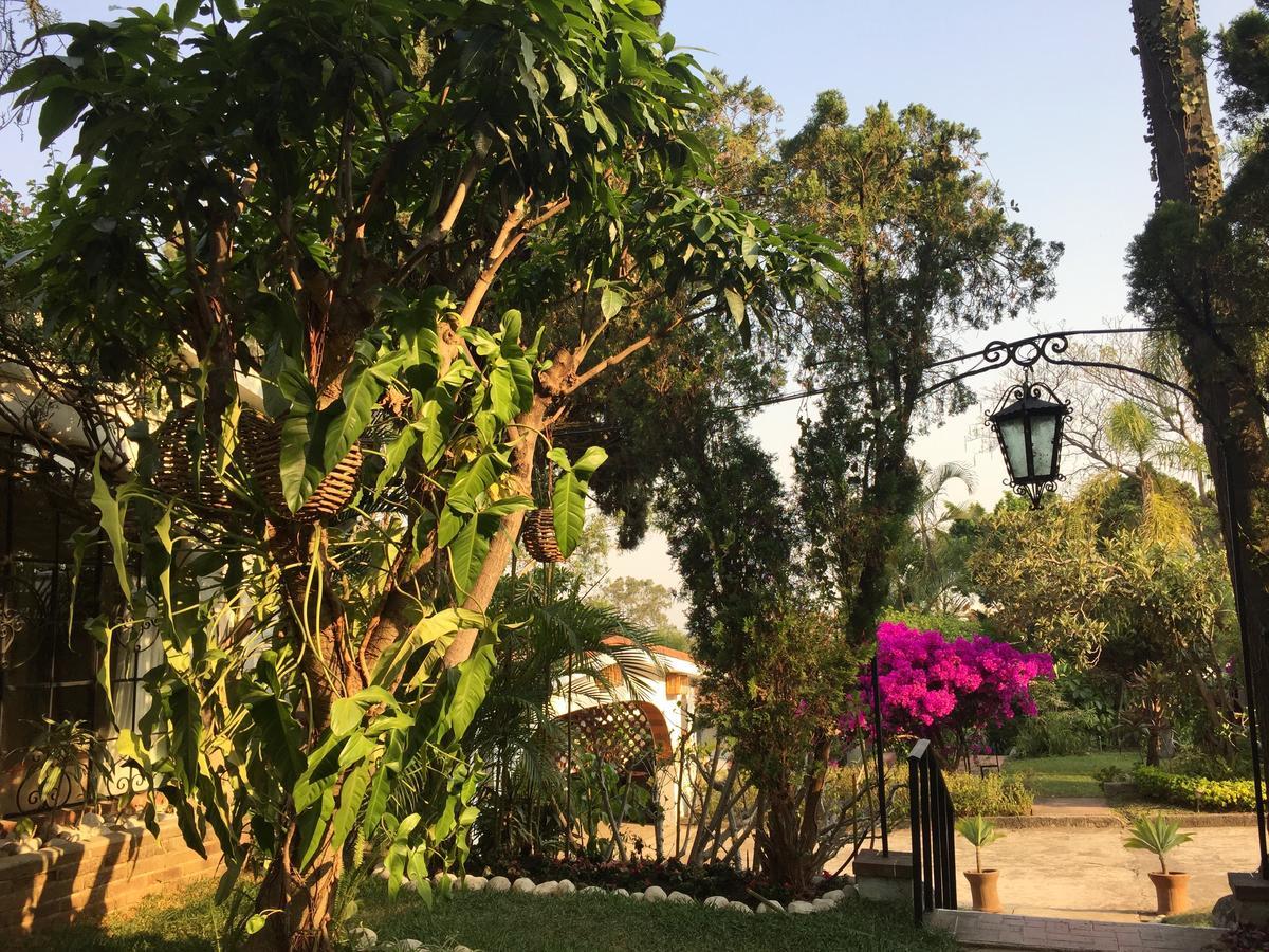 Villas Bellavista Cuernavaca Buitenkant foto